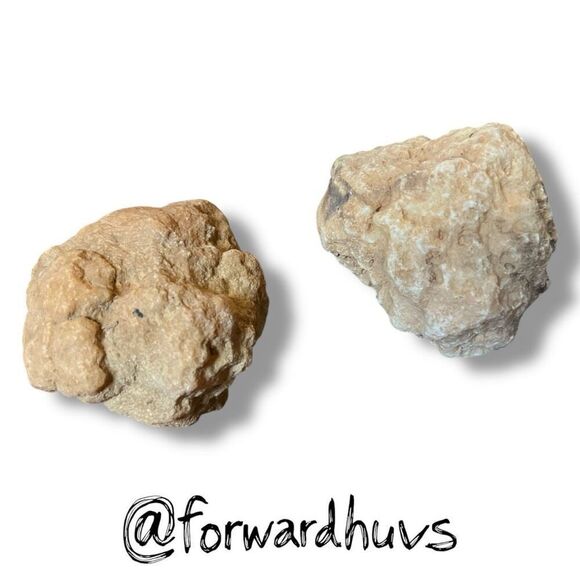 (2) 2”  Raw Tennessee Creek Geode - Break them Yourself - Picture 6 of 7